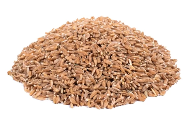 Khapli Wheat Grains (Emmer Wheat Grain) - 5kg - Image 2